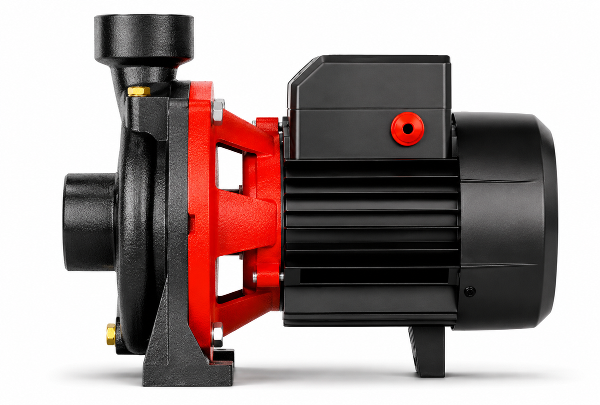 Bomba Centrífuga 1 HP LEO ACm 75 220V (1"x1")