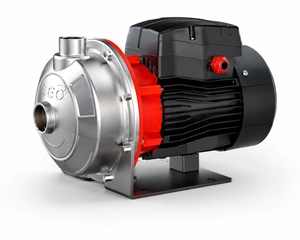 Bomba Centrífuga Acero Inoxidable 1 HP LEO AMSm 210/0,75 220V (1½" x 1¼")