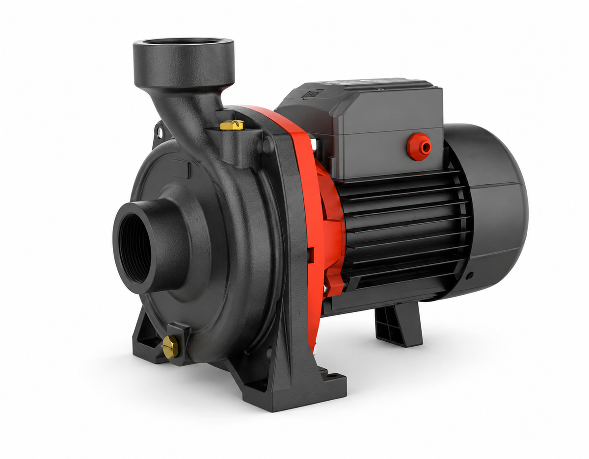 Bomba Centrífuga Uso Agrícola e Industrial 1,0 HP LEO XGm/1A 220V (1½" x 1½")